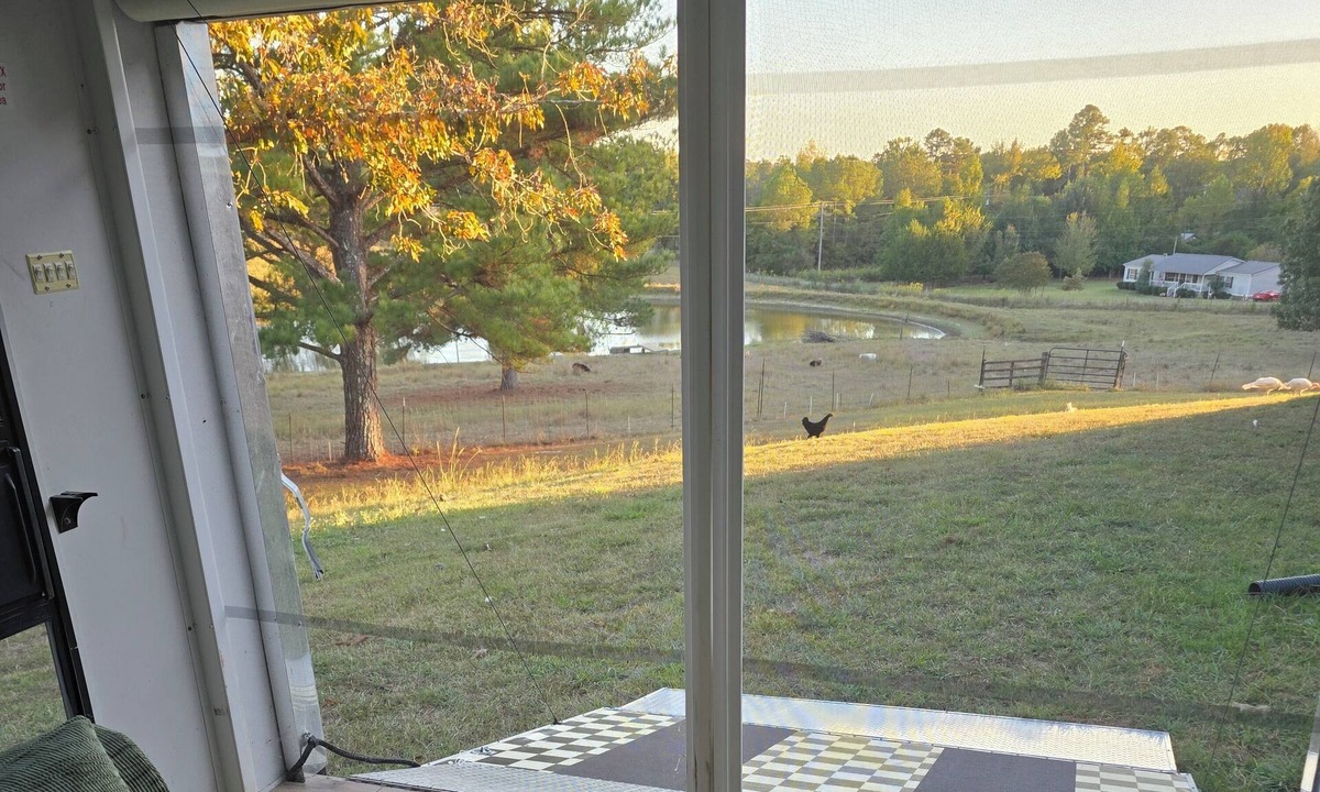 Water Valley Villa | Animal Farm Experience, 3-bed (2 qn 1 king) rv home in the Valley