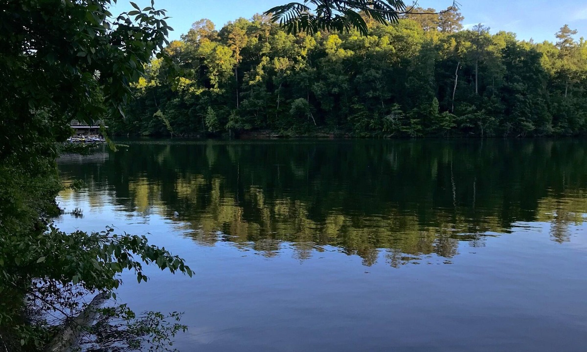 Double Springs Cabin | Beautiful cabin in the forest on the lake