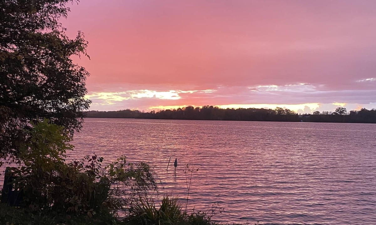West Branch Cottage | Charming up north cottage on all sports Peach Lake!