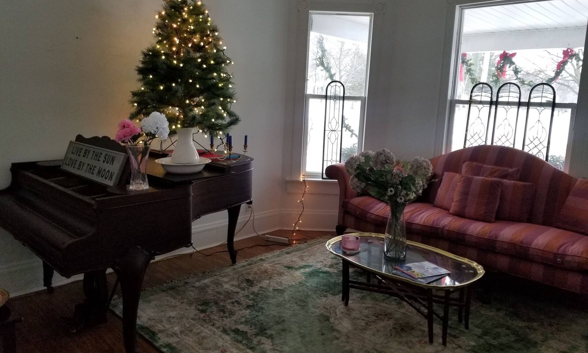 Grand Rapids Apartment | Downtown GR apartment on Medical Mile, covered front porch cross from Coit Park