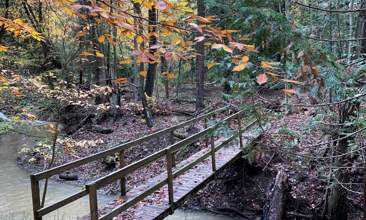 Carsonville House | Hidden Hemlock Retreat Sauna, Spa Tub, Fireplace, 500M Wi-fi, L2+ EV Charger
