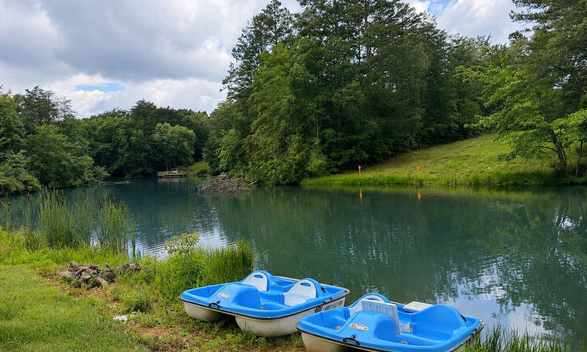Coalmont Cabin | Hot Tub and Paddle Boat! Veteran Owned! - Unwind at Eagle’s Landing on the Lake