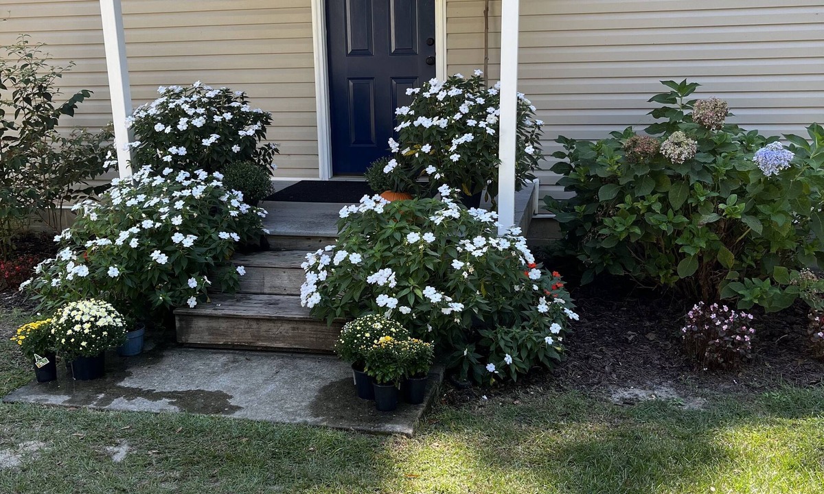 Abbeville House | Lakeside Retreat: Boating, Fishing, and Relaxation. NO CLEANING FEES!