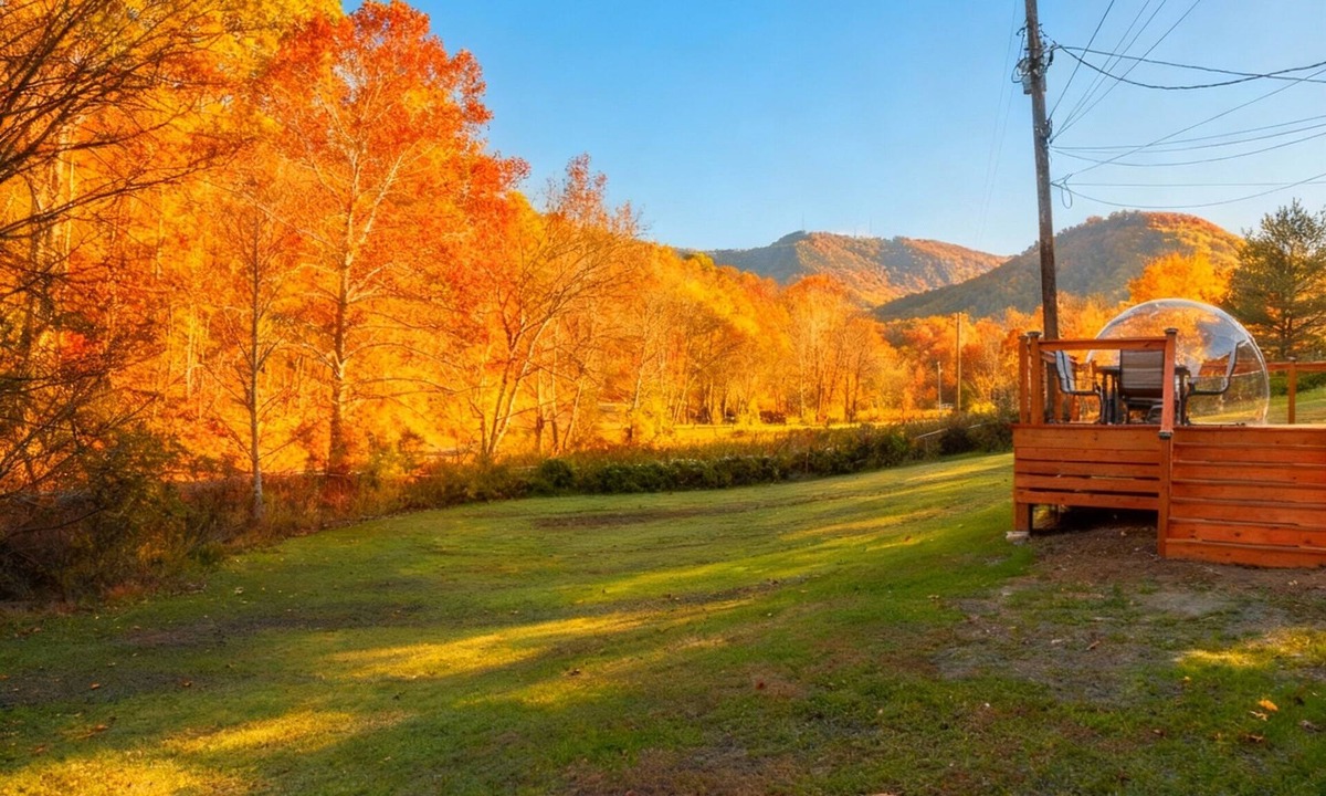 Seymour House | Mountain Vibes: Hot Tub/Dome/Mini Golf/Theater & Games/Pet Friendly/Large Yard
