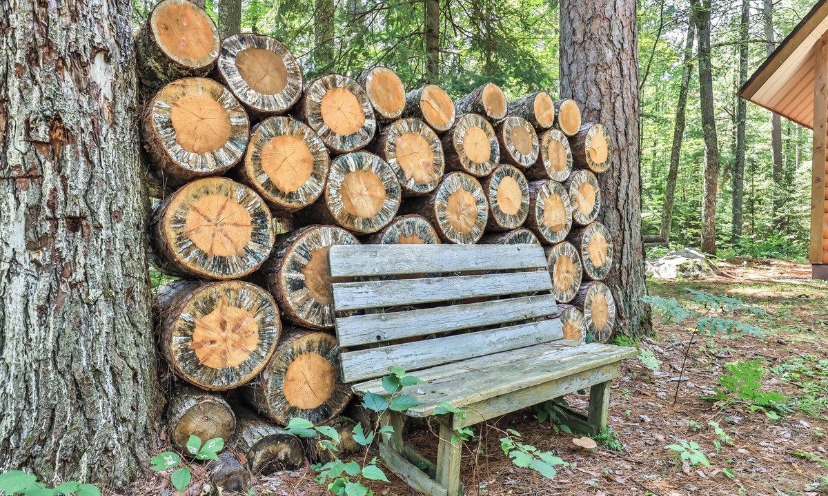Argonne Cabin | Peaceful cabin on 5 acres of woods.