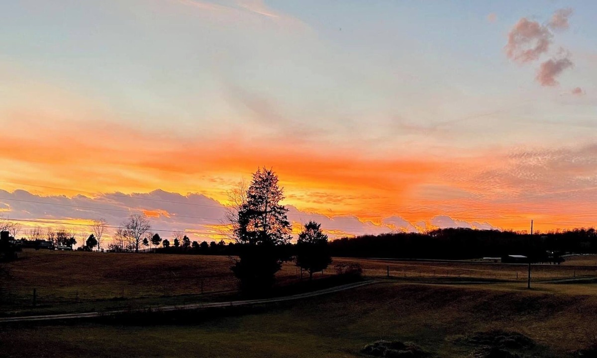 Kingston House | Peaceful Paint Rock Cottage-Pets OK-2 King beds-No Fuss Checkout