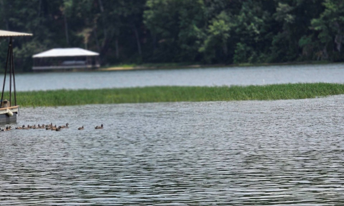 Abbeville House | Relax, Fish, Repeat- Your Lakefront Vacation Starts Here