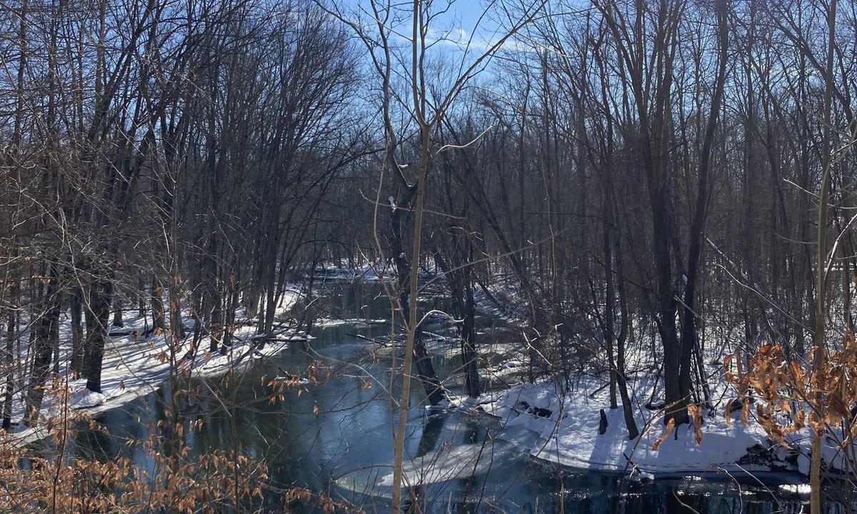 Lawrence Cabin | Secluded Cozy Cedar Wood Cabin in 20 acres of native woods, on the Paw Paw river