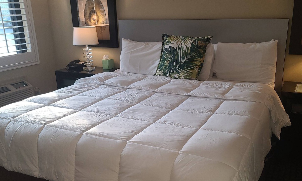 Downtown Hotel | Sole Inn and Suites