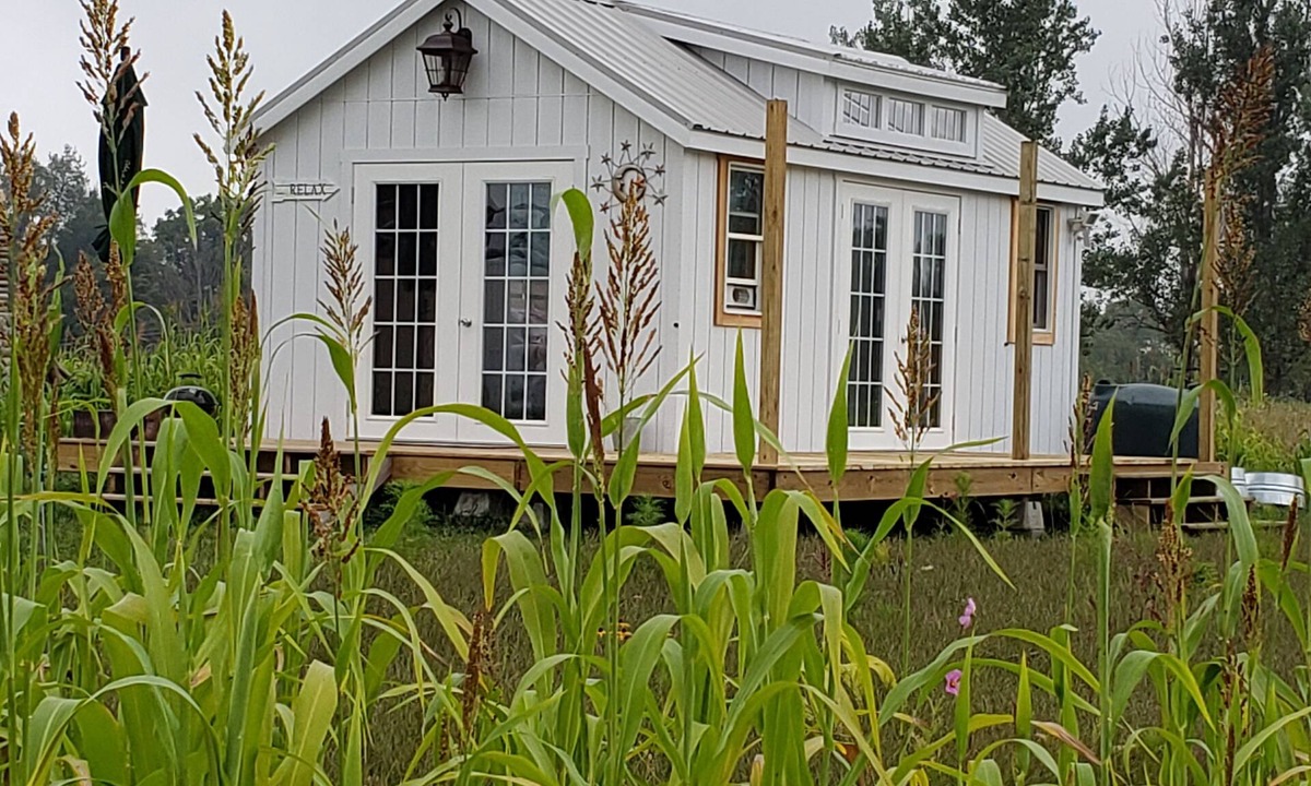Hastings Cottage | The Firefly stargazer, garden studio. View the night sky from your bed.