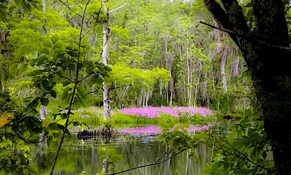 Crawfordville House | Wakulla River waterfront beautiful home directly on the river with dock
