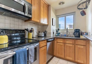 Electic Downtown 1B Condo by Convention Center in Seattle