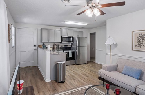 Johnson City Apartment | 10 minutes to downtown Johnson City