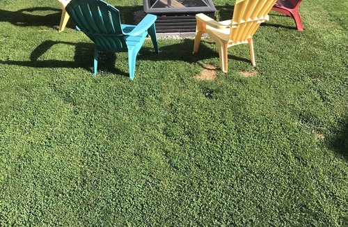 Algonac Apartment | Adorable 2 Bedroom Vacation Rental Located on Canal