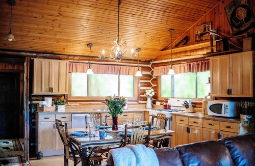 Traverse City Cabin | Authentic Log Cabin on Beautiful Silver Lake in Traverse City MI. Pet Friendly!