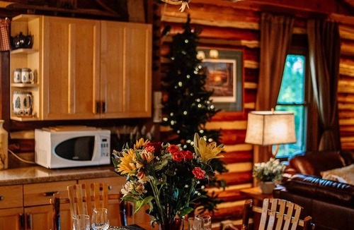 Traverse City Cabin | Authentic Log Cabin on Beautiful Silver Lake in Traverse City MI. Pet Friendly!