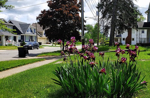 Northeast South Bend House | BEAUTIFUL 3bd 2br/BLOCKS AWAY FROM NOTRE DAME/EDDY ST