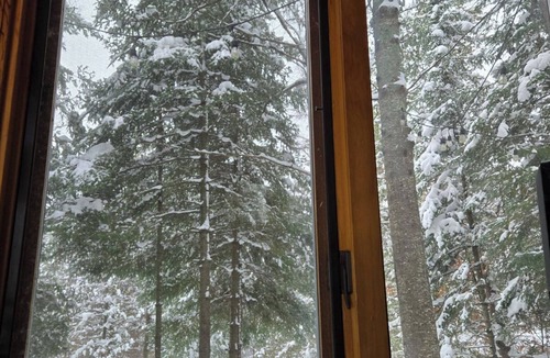 Frederic Cabin | Black Bear Lodge: Fish, Hike, and Relax in Michigan's Summer Paradise