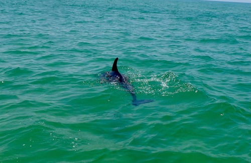 Navarre Beach Condo | Boaters And Beach Lovers Paradise ... A Private Escape
