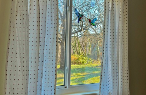 Asheville Cottage | Charming Asheville Cottage: HotTub+ Fire pit.Great Location! Near DT & Biltmore.