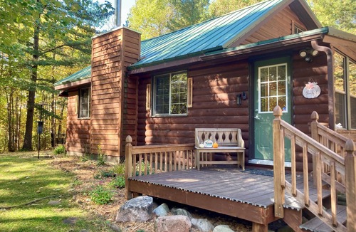 Powell Cabin | Charming Cabin in Heart of Recreation & Fall Colors + Sauna, Fire Pit, TreeHouse