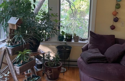 College Heights House | Charming Home | Walk to Depot Town | Special Requests | Private Retreats