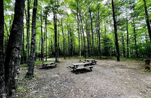 White Lake Cabin | Couples Cabin Close to Wolf River for a Peaceful Escape near White Lake, Wisconsin