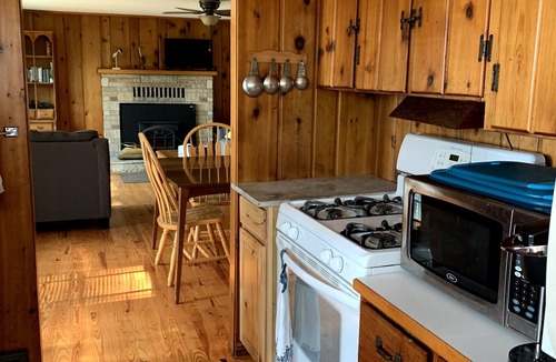 Spruce Cottage | Cozy Hubbard Lake waterfront -beautiful views, private wooded lot, fireplace
