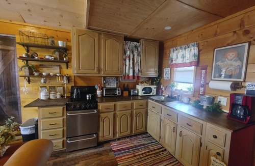 Sloans Valley Cabin | CRISTY'S CABIN - cozy and quaint - where the deer and the ants play!