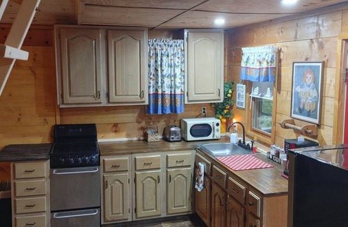 Sloans Valley Cabin | CRISTY'S CABIN - cozy and quaint - where the deer and the ants play!