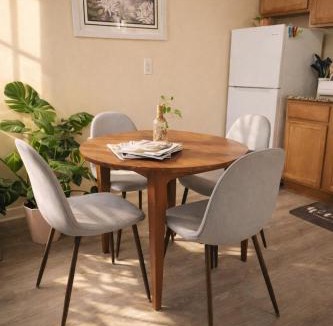 Ann Arbor Apartment | Downtown Ann Arbor Walk to Stadium, Medical Center, UM