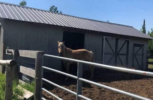 Engadine House | Farm house on 80 acres bring your horse too