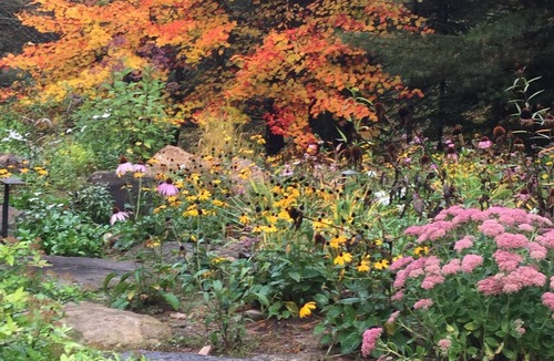 Watersmeet Bed & Breakfast | FOREST GARDENS GETAWAY B&B