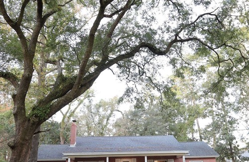Tallahassee House | Game Day House, Walk to FSU/Stadium, 5BR Sleeps 12