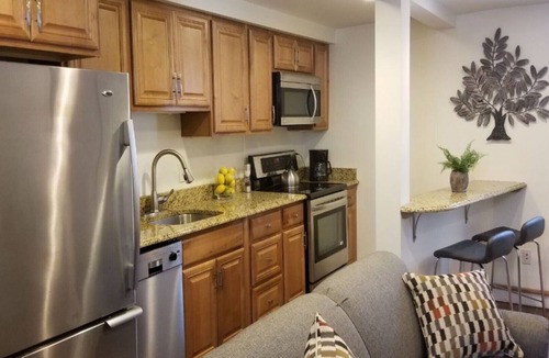 Water Hill Apartment | Location, Location! Downtown Luxury 1 Bedroom Apt