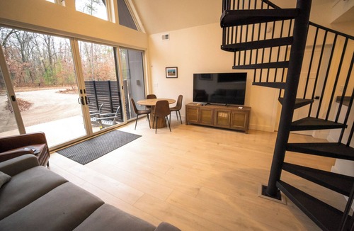 Wellston Ski Chalet | Modern Forest Chalet Sleeps 6 Starlink Rivers & Caberfae Pet-Friendly