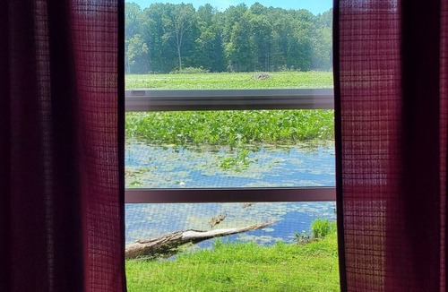 Marcellus Cabin | Nature lover's paradise! Just peace, solitude, tranquility, birds & the trees!