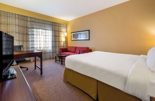 Novi Hotel | Perfect Room for Pet Owners Seeking a Relaxing Getaway with Swimming Pool