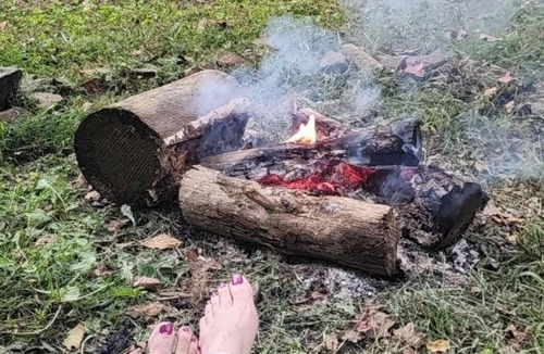 Seymour RV Rental | Picteresque 1-bedroom Glamp cabin on Bear Hollow Reserve. Hike. Feed fish. Camp