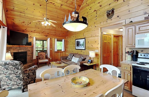 Black Bear Falls Cabin | Stunning mountain views, spacious balcony with hot tub + seasonal pool access.