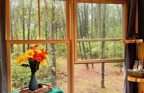 Athelstane Apartment | The Canopy Cabin a Nature Lovers Eclectic Treehouse