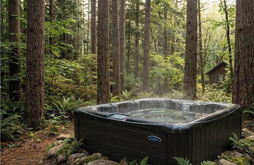 Ingalls Cabin | The Willow. New 4 room, 2 bath cabin on Menominee River w/fireplace, hot tub.