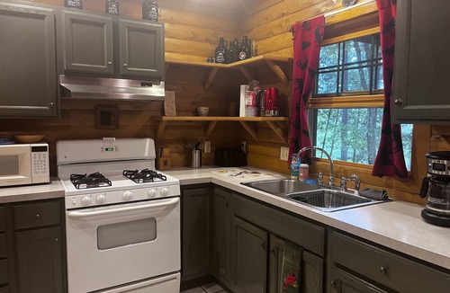 Bellaire House | Waterfront log home on Lake Bellaire. Pet friendly. Fireplace, dock. Dog ok