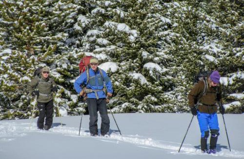 Le Roy House | Wilderness Retreat & Cross-Country Ski Center!