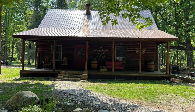 Bear's Den, A cozy 3-bedroom cabin in mature woods on Neebish Island with WiFi