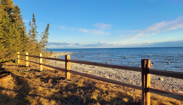 Beaver Island - The Shorebird