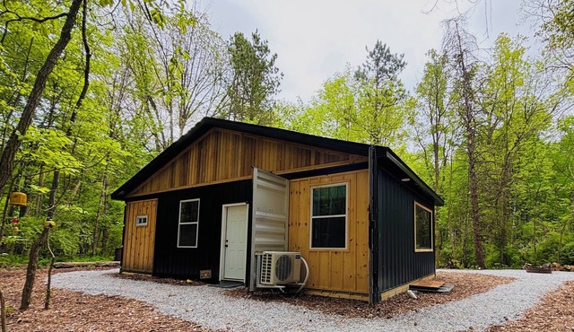 Beehive shipping container cabin surrounded by nature and a pond