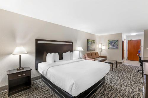 Best Western Plus McDonough Inn & Suites