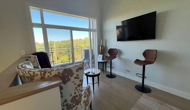 Bronzeville-Lakefront property, near Sox, McCormick, Museums & Downtown Chicago.