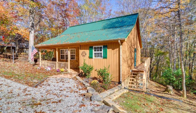 Burnside Resort Cabin w/Hot Tub & Outdoor Spots!